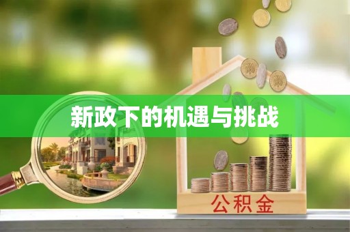 当阳新政下的机遇与挑战