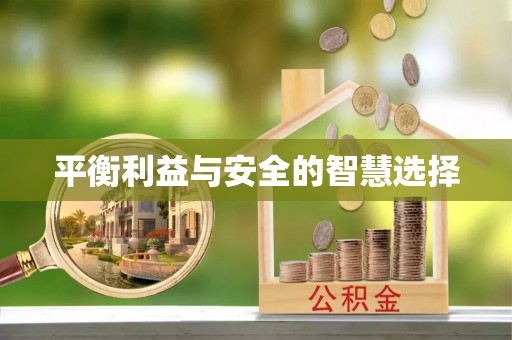 当阳平衡利益与安全的智慧选择