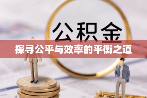 当阳探寻公平与效率的平衡之道