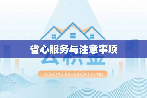 当阳省心服务与注意事项