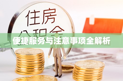 当阳便捷服务与注意事项全解析