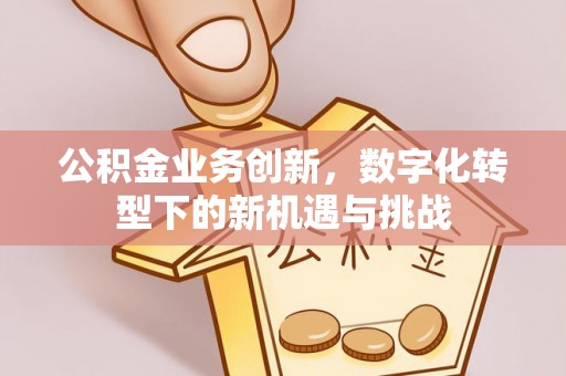 当阳公积金业务创新，数字化转型下的新机遇与挑战