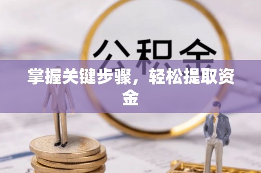 当阳掌握关键步骤，轻松提取资金