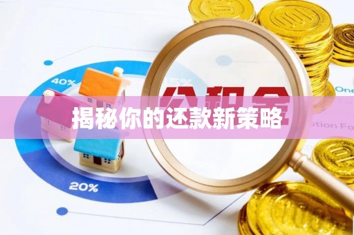 当阳揭秘你的还款新策略