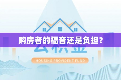 当阳购房者的福音还是负担？