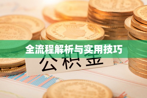 当阳全流程解析与实用技巧