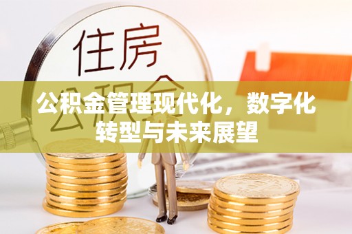当阳公积金管理现代化，数字化转型与未来展望