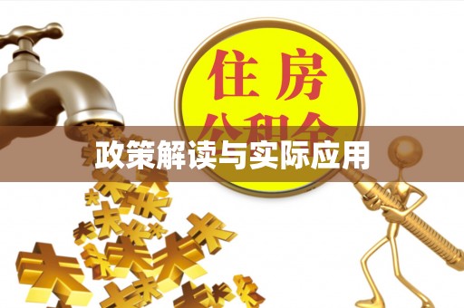 当阳政策解读与实际应用