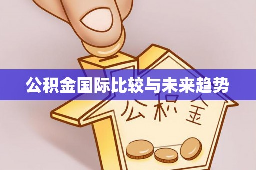 当阳公积金国际比较与未来趋势