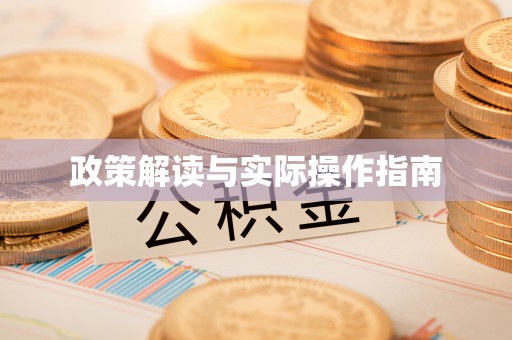当阳政策解读与实际操作指南