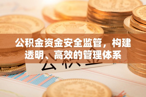 当阳公积金资金安全监管，构建透明、高效的管理体系