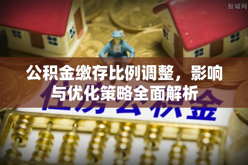当阳公积金缴存比例调整，影响与优化策略全面解析