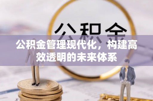 当阳公积金管理现代化，构建高效透明的未来体系