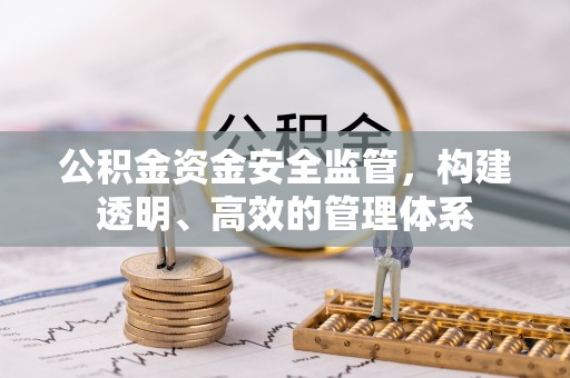 当阳公积金资金安全监管，构建透明、高效的管理体系