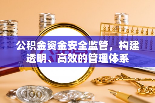当阳公积金资金安全监管，构建透明、高效的管理体系