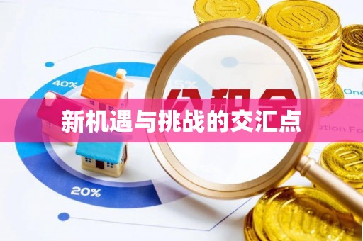 当阳新机遇与挑战的交汇点