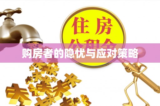 当阳购房者的隐忧与应对策略