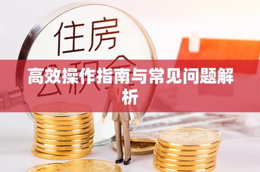 当阳高效操作指南与常见问题解析