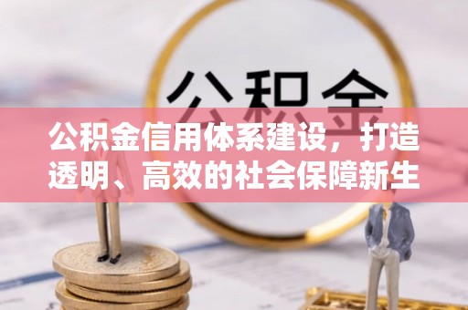 当阳公积金信用体系建设，打造透明、高效的社会保障新生态