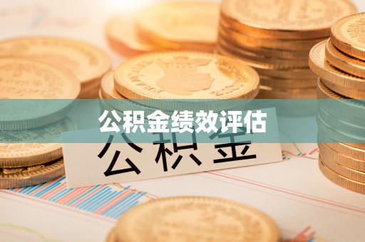 当阳公积金绩效评估