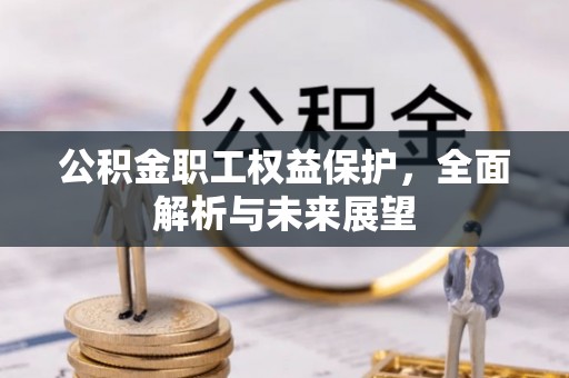 当阳公积金职工权益保护，全面解析与未来展望