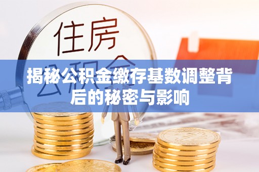 当阳揭秘公积金缴存基数调整背后的秘密与影响