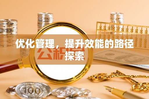 当阳优化管理，提升效能的路径探索