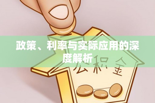 当阳政策、利率与实际应用的深度解析