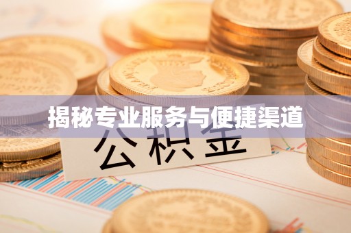 当阳揭秘专业服务与便捷渠道