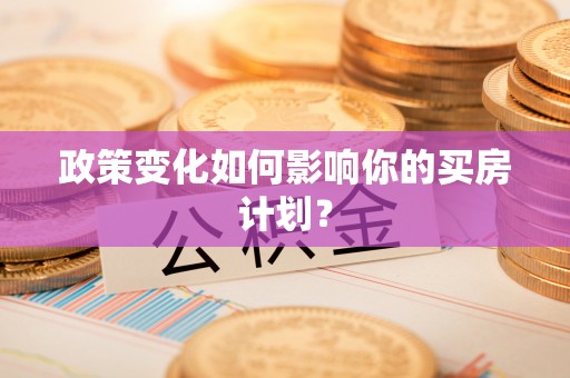 当阳政策变化如何影响你的买房计划？