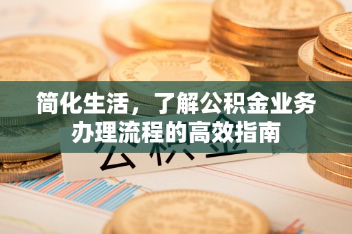 当阳简化生活，了解公积金业务办理流程的高效指南