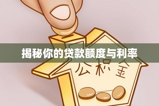 当阳揭秘你的贷款额度与利率