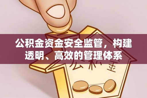 当阳公积金资金安全监管，构建透明、高效的管理体系