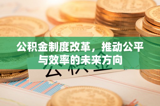 当阳公积金制度改革，推动公平与效率的未来方向