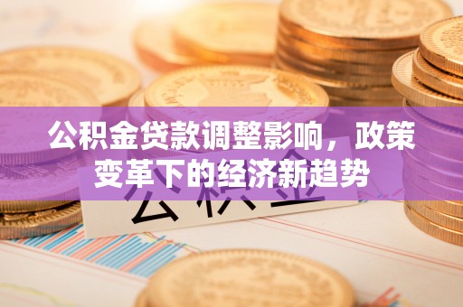 当阳公积金贷款调整影响，政策变革下的经济新趋势