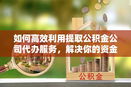 当阳如何高效利用提取公积金公司代办服务，解决你的资金难题
