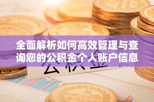 当阳全面解析如何高效管理与查询您的公积金个人账户信息