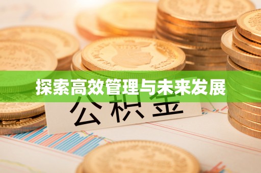 当阳探索高效管理与未来发展