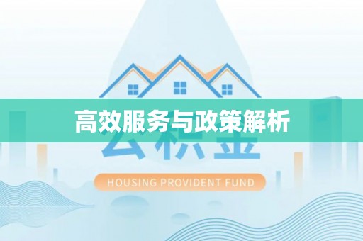 当阳高效服务与政策解析