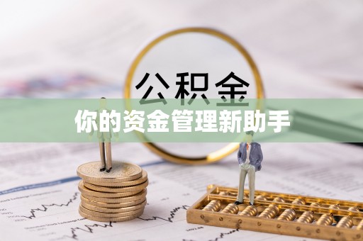 当阳你的资金管理新助手