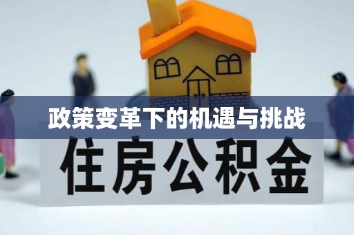 当阳政策变革下的机遇与挑战