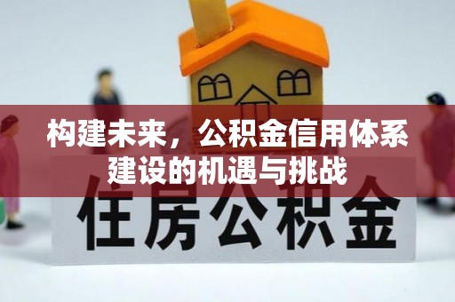 当阳构建未来，公积金信用体系建设的机遇与挑战