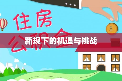 当阳新规下的机遇与挑战