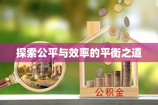当阳探索公平与效率的平衡之道