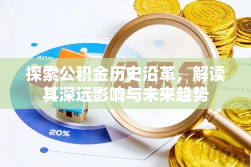 当阳探索公积金历史沿革，解读其深远影响与未来趋势