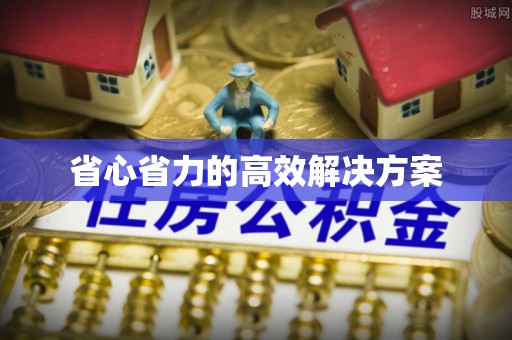 当阳省心省力的高效解决方案