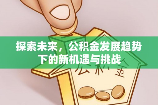 当阳探索未来，公积金发展趋势下的新机遇与挑战
