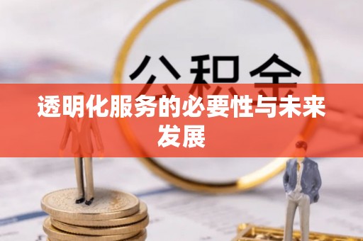 当阳透明化服务的必要性与未来发展