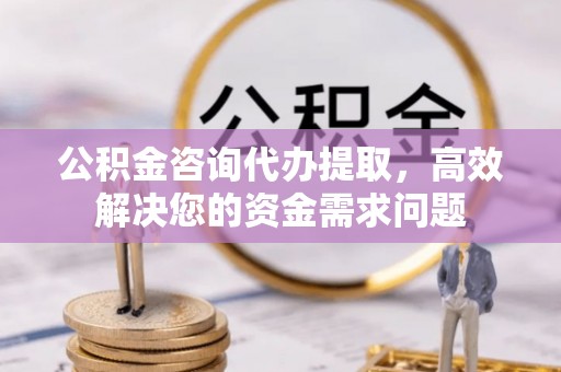 当阳公积金咨询代办提取，高效解决您的资金需求问题