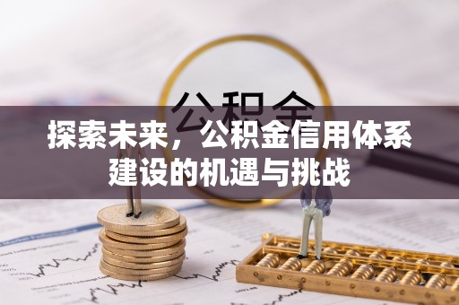 当阳探索未来，公积金信用体系建设的机遇与挑战